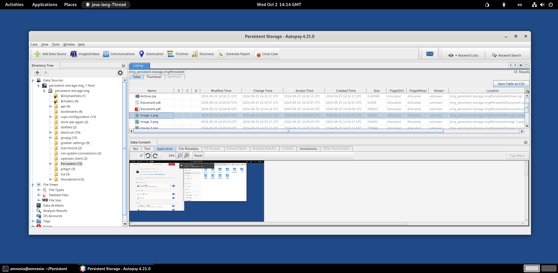 Autopsy in Tails showing files recovered from the partition image of a Persistent Storage