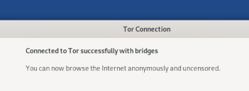 Connectat a Tor amb èxit mitjançant ponts